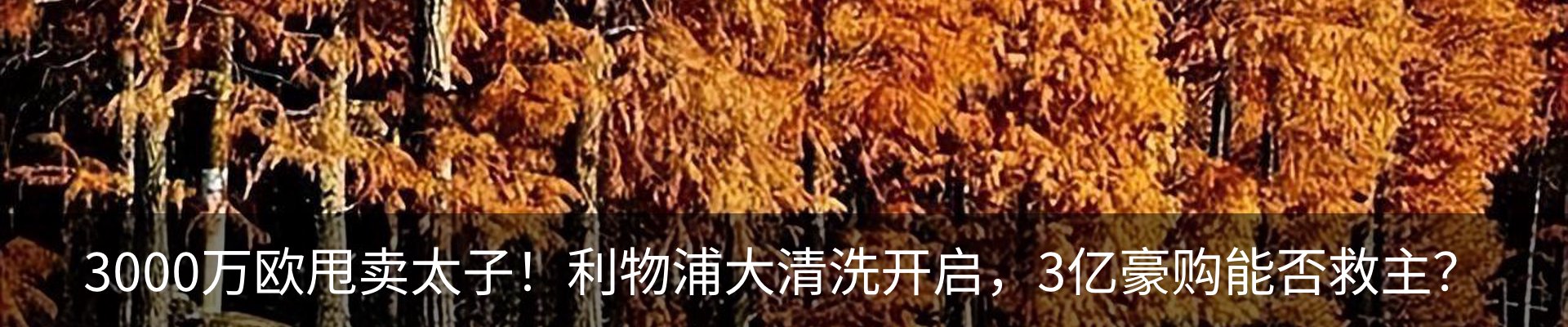 新闻动态